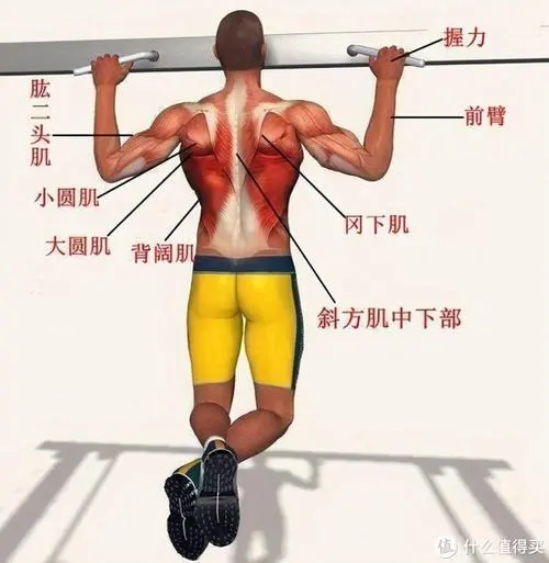 五常园林绿化学会